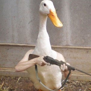 Meet your Posher, Athanasios